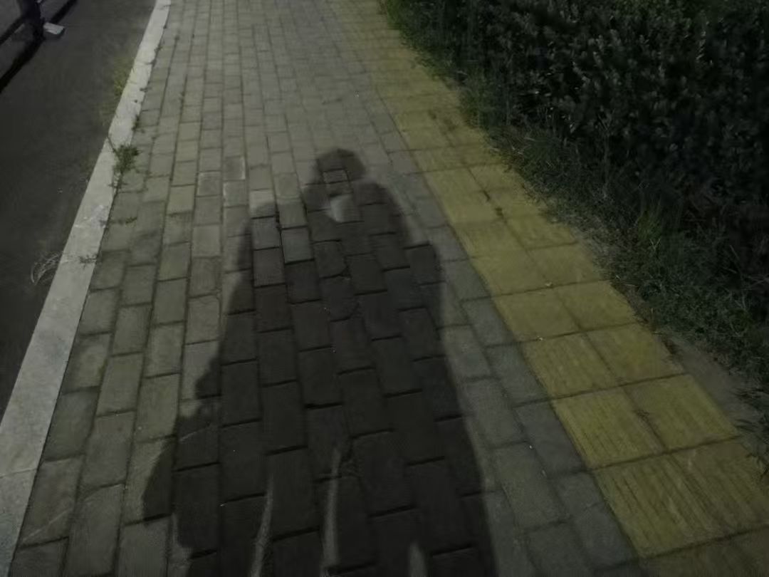 夜景双人并肩影子